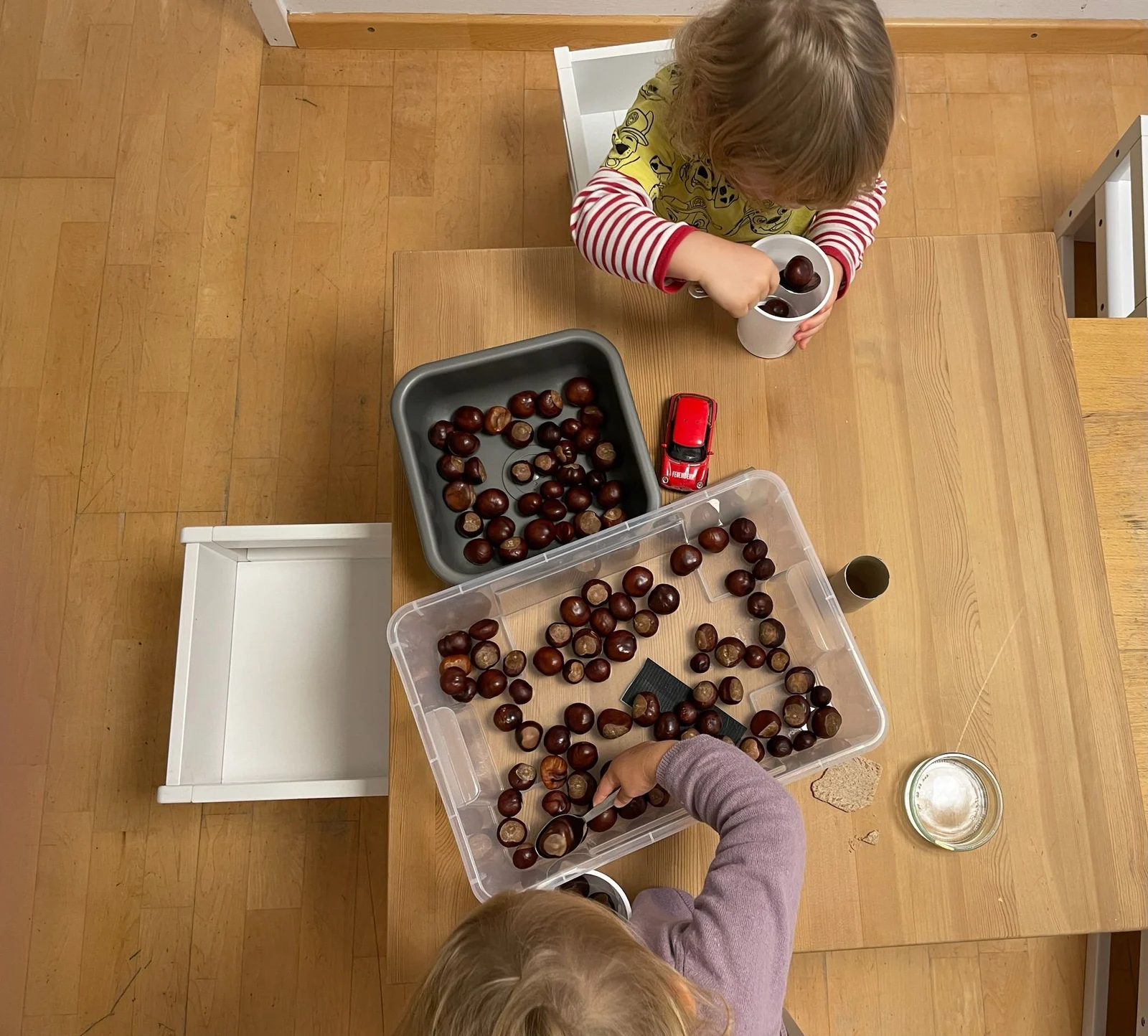 Kinder sortieren Kastanien am Tisch