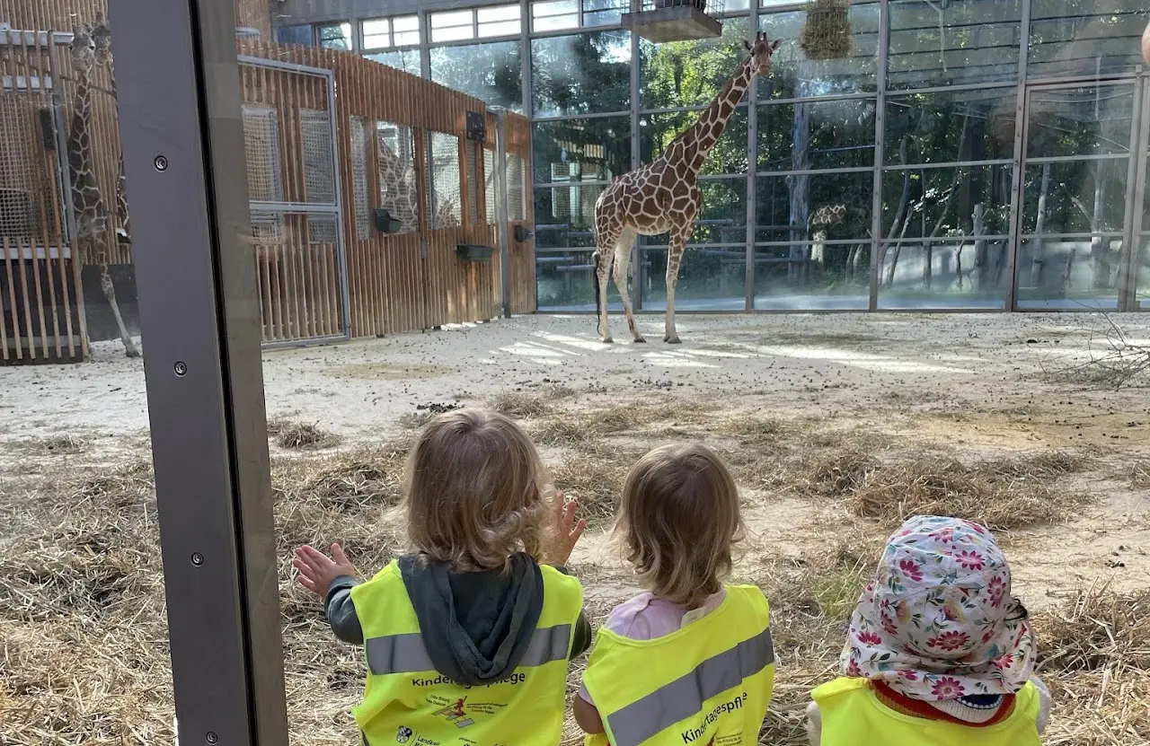 Kinder beobachten eine Giraffe im Tierpark